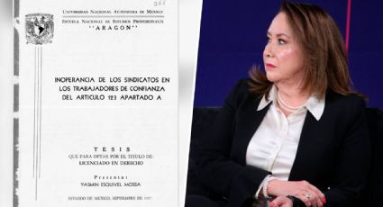 Plagio de la ministra Yasmín Esquivel: Académicos involucrados deben 'rendir cuentas' este jueves