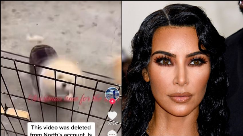 Millonaria estrella de TV es destrozada en redes sociales por presunto maltrato a sus mascotas