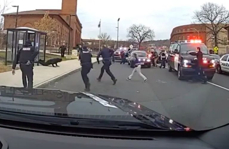 Detención de Christopher Francisquini 