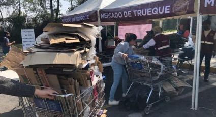 ¡Protege el medio ambiente! Asiste al Mercado de Trueque de la Ciudad de México