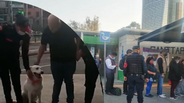 Oficiales rescatan a perrita extraviada en Chapultepec y se reúne con su dueño