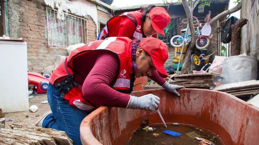 Conave confirma siete defunciones por dengue en Sonora y hay seis casos más bajo estudio