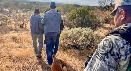 Adulto mayor se pierde en Sonora; un perro llamado 'El Palomo' fue quien lo ayudó a regresar