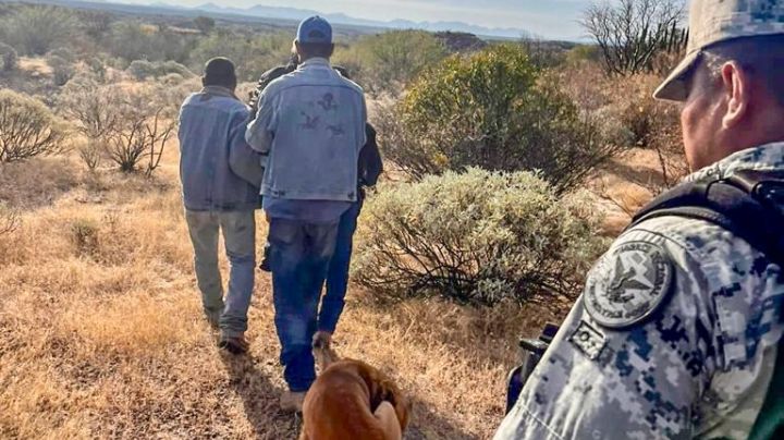 Adulto mayor se pierde en Sonora; un perro llamado 'El Palomo' fue quien lo ayudó a regresar