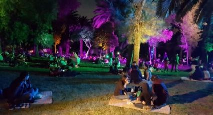 ¡Prepara la canasta! Picnic Nocturno Navideño en el Bosque de Aragón de la CDMX será este día