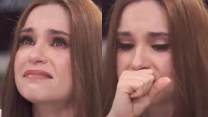 Shock en Televisa: Tania Rincón da triste noticia sobre sus hijos desde Qatar y estremece a fans