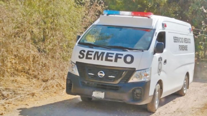 Movilización en Morelos: Sobre terreno de cultivo, localizan una osamenta humana