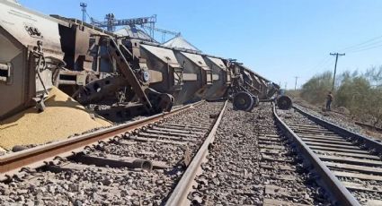 Se descarrilan vagones de un tren de carga al sur de Ciudad Obregón; transportaba cártamo