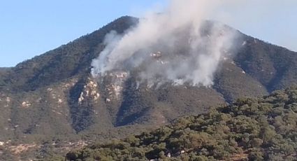 Incendio forestal en Aconchi deja 90 hectáreas de sierra alta afectadas, reporta Protección Civil