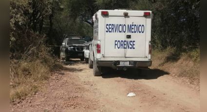 Sicarios sorprenden a dos individuos y les arrebatan la existencia en Guanajuato