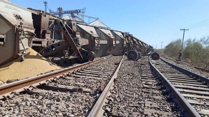 Se descarrilan vagones de un tren de carga al sur de Ciudad Obregón; transportaba cártamo