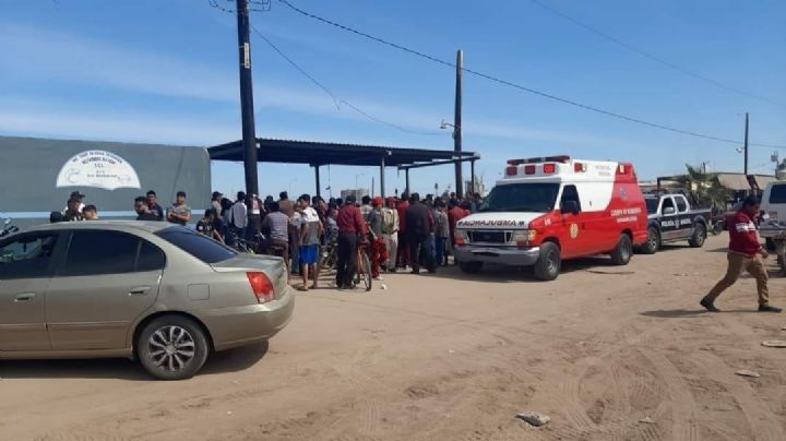 Conmoción en Sonora: Fallece pescador en el Puerto de Yavaros tras ataque de tiburón