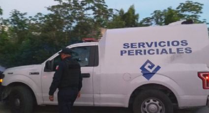 De terror: Fiscalía de Quintana Roo localiza restos óseos en Cozumel; estaban en una cubeta