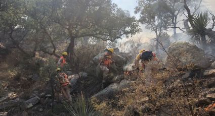 Brigadistas controlan 35% del incendio forestal en Aconchi, pese al viento: Protección Civil