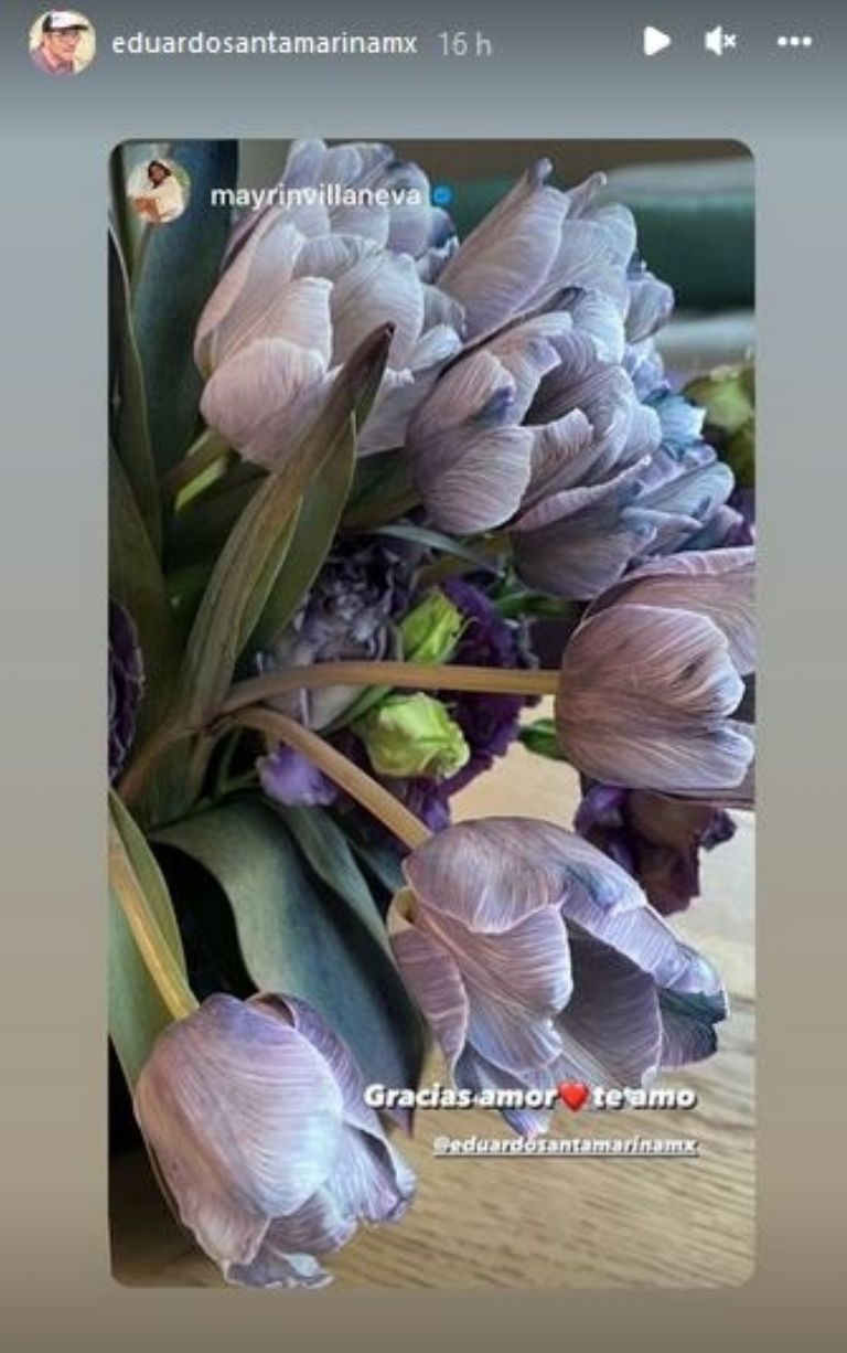 Regalo de Eduardo Santamarina 