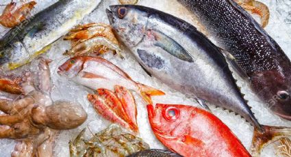 Escasez de pescados y mariscos podría aumentar su precio durante esta Cuaresma: Canacope