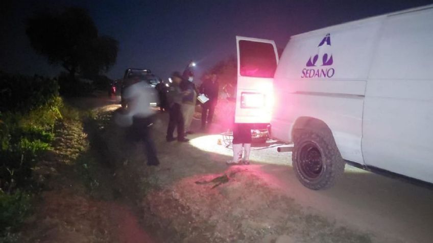 Tragedia doble en Guasave: Tráiler arrolla a jinete y camioneta vuelca sobre el caballo