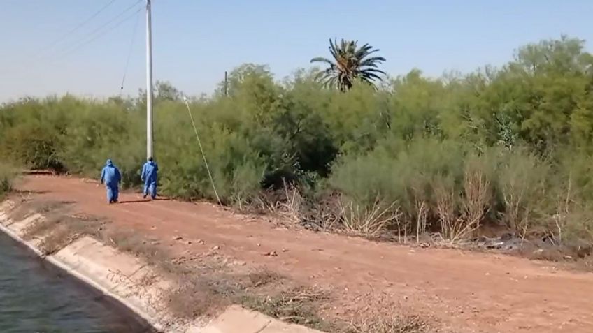 A costado de un canal, abandonan cuerpo masculino en el Valle del Yaqui; estaba putrefacto