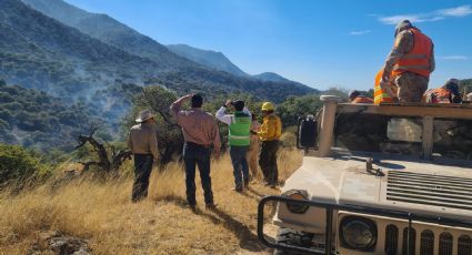 Controlan incendio forestal en la sierra alta de Aconchi; hay más de mil hectáreas afectadas