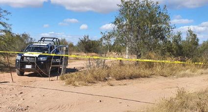 Guerreras Buscadoras de Sonora encuentran dos cuerpos expuestos en fosa clandestina en Guaymas