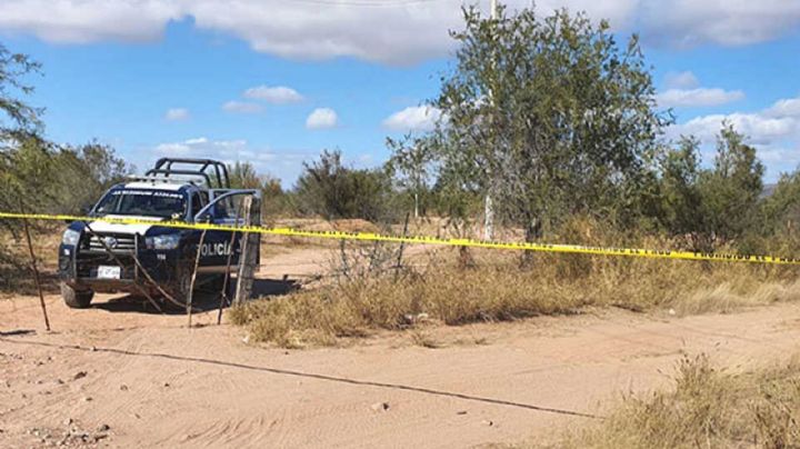 Guerreras Buscadoras de Sonora encuentran dos cuerpos expuestos en fosa clandestina en Guaymas
