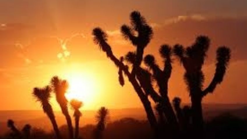 Clima en Sonora 18 de febrero: Consulta el pronóstico del tiempo de hoy, según Conagua