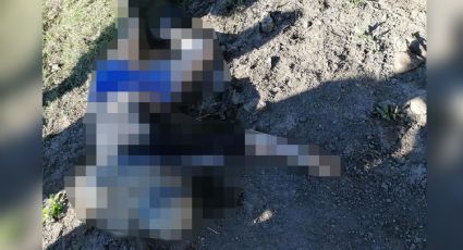 Con impactos de bala en la cabeza, hombre es hallado sin vida en terreno de Tangamandapio