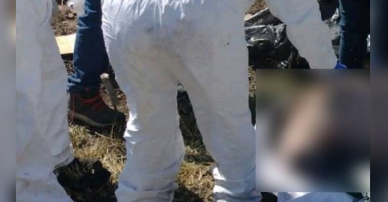 Semefo llega al lugar de los hechos