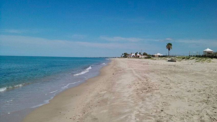 Localizan extremidad y equipo del buzo que murió por ataque de tiburón en Huatabampo