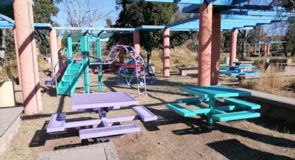 Poco a poco, colectivos recuperan parque recreativo La Sauceda en Hermosillo
