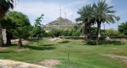 Hermosillo padece un rezago de más de la mitad de sus áreas verdes, asegura Parques y Jardines