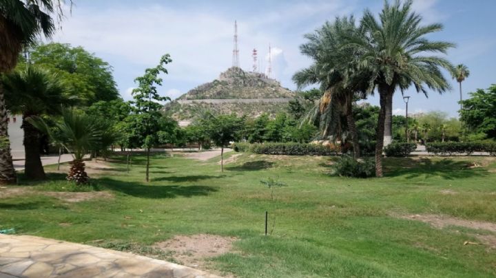 Hermosillo padece un rezago de más de la mitad de sus áreas verdes, asegura Parques y Jardines