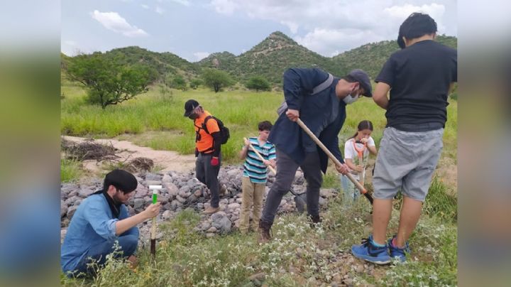 Ambientalistas buscan reforestar área protegida con sahuaros en Hermosillo