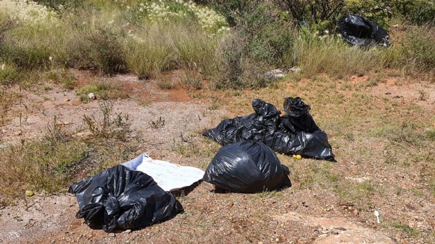 Amanecen cinco bolsas con restos humanos en Zacatecas; fueron encontradas por vecinos