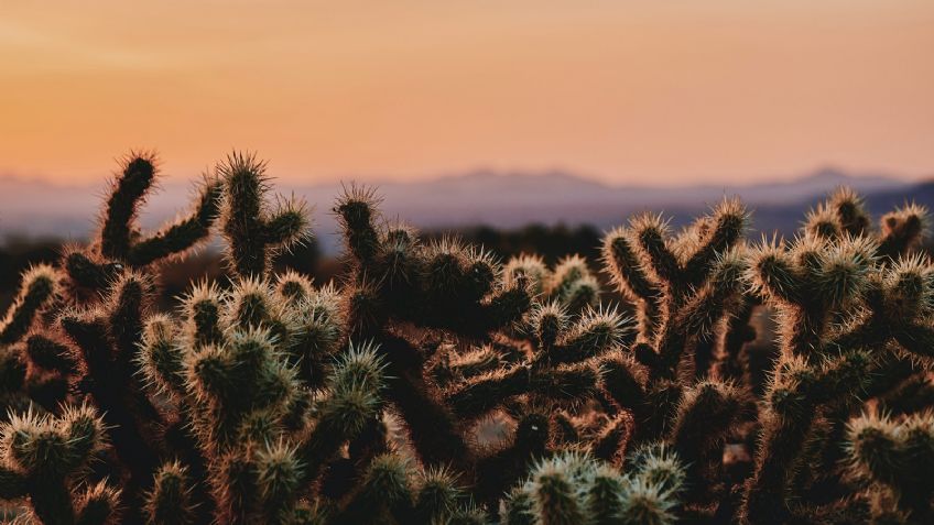 Clima Sonora hoy 14 de marzo 2022: Conagua comparte el pronóstico del tiempo de este lunes
