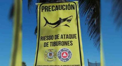 Protección Civil alertará a vacacionistas por posible presencia de tiburón en playas de Huatabampo