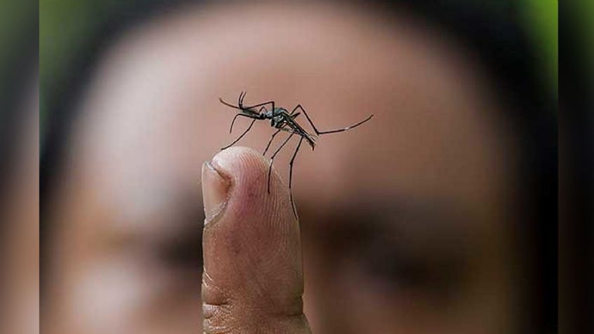 Ante una amenaza, crearán cerco sanitario en la Región del Mayo por alerta de dengue