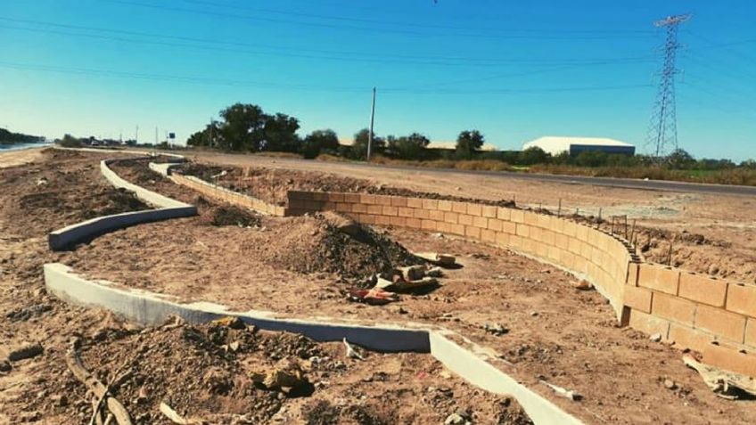 Fundación ambiental avanza con proyectos de reforestación en Ciudad Obregón