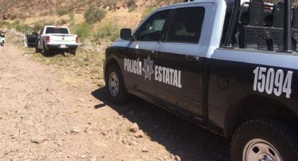 Colectivo de búsqueda encuentra restos óseos en predio al oriente de Guaymas