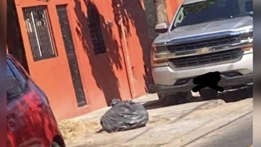 Autoridades encuentran bolsa con restos humanos en Villa de Álvarez, Colima