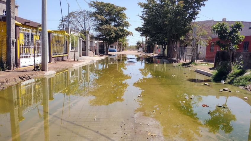 Ciudad Obregón: Denuncian 'laguna' de aguas negras en la colonia Esperanza Tiznado