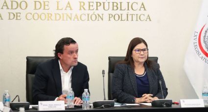 Presidente de la Liga MX comparece ante el Senado por hechos violentos en Querétaro