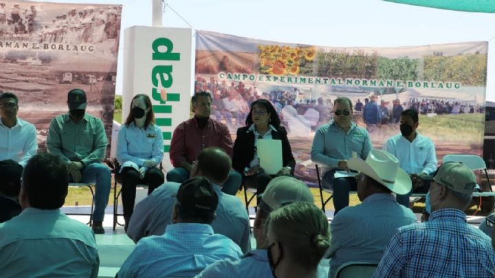 "Crisis en la agricultura se debe a desvíos": Afirma Fátima Rodríguez, titular de Sagarpha