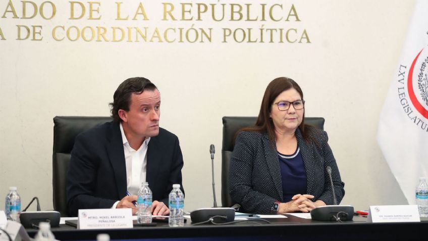 Presidente de la Liga MX comparece ante el Senado por hechos violentos en Querétaro