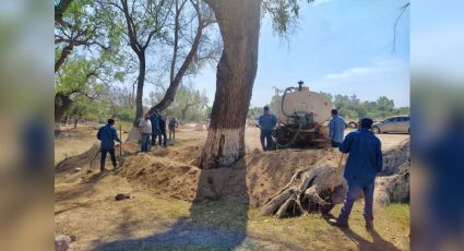 Lanzan un S.O.S. para rescatar el Río Mayo en Navojoa; la tala de árboles es uno de los problemas