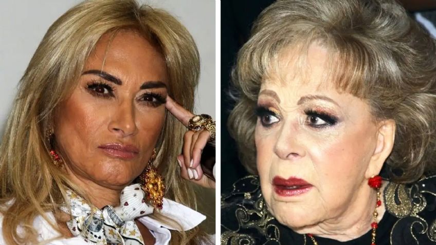 Adela Micha revela que llamó a Silvia Pinal para pedirle perdón por controversial comentario