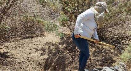 Cecilia, fundadora de Madres Buscadoras de Sonora, habría encontrado a su hijo: "Me derrumbo"