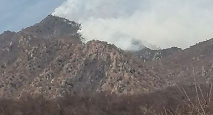 Incendio forestal afecta sierra de Álamos; es de los peores en 20 años, dice Conafor