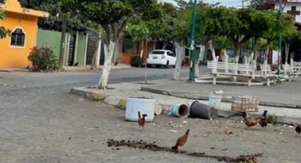 Sin piedad alguna, sicarios terminan con la existencia de un indigente en Colima