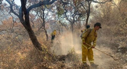 Incendio forestal devasta más de mil 700 hectáreas de la Sierra de Álamos: Conafor